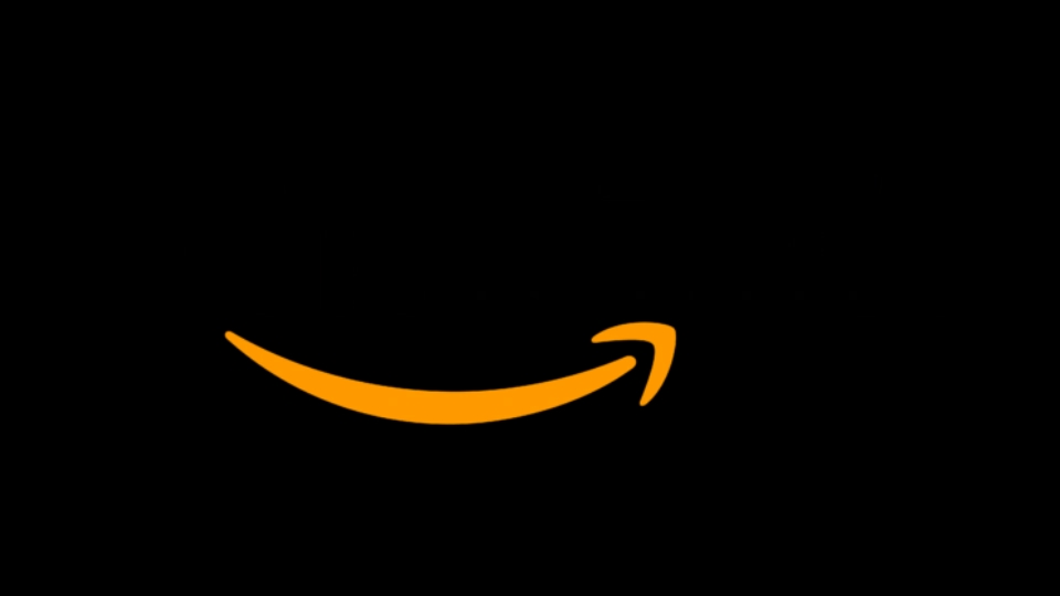 Install, repair or supply of Amazon thermostats
