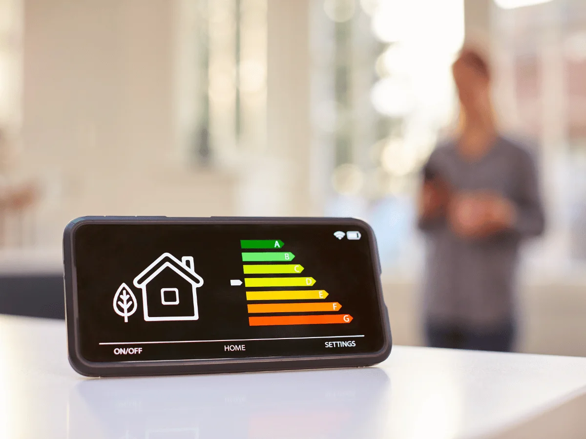 Assessing and rating the energy efficiency of domestic properties