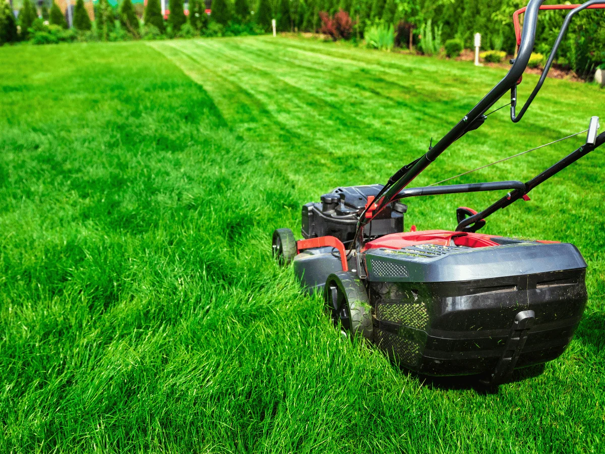 Trimming and maintaining your lawn for a neat, tidy finish