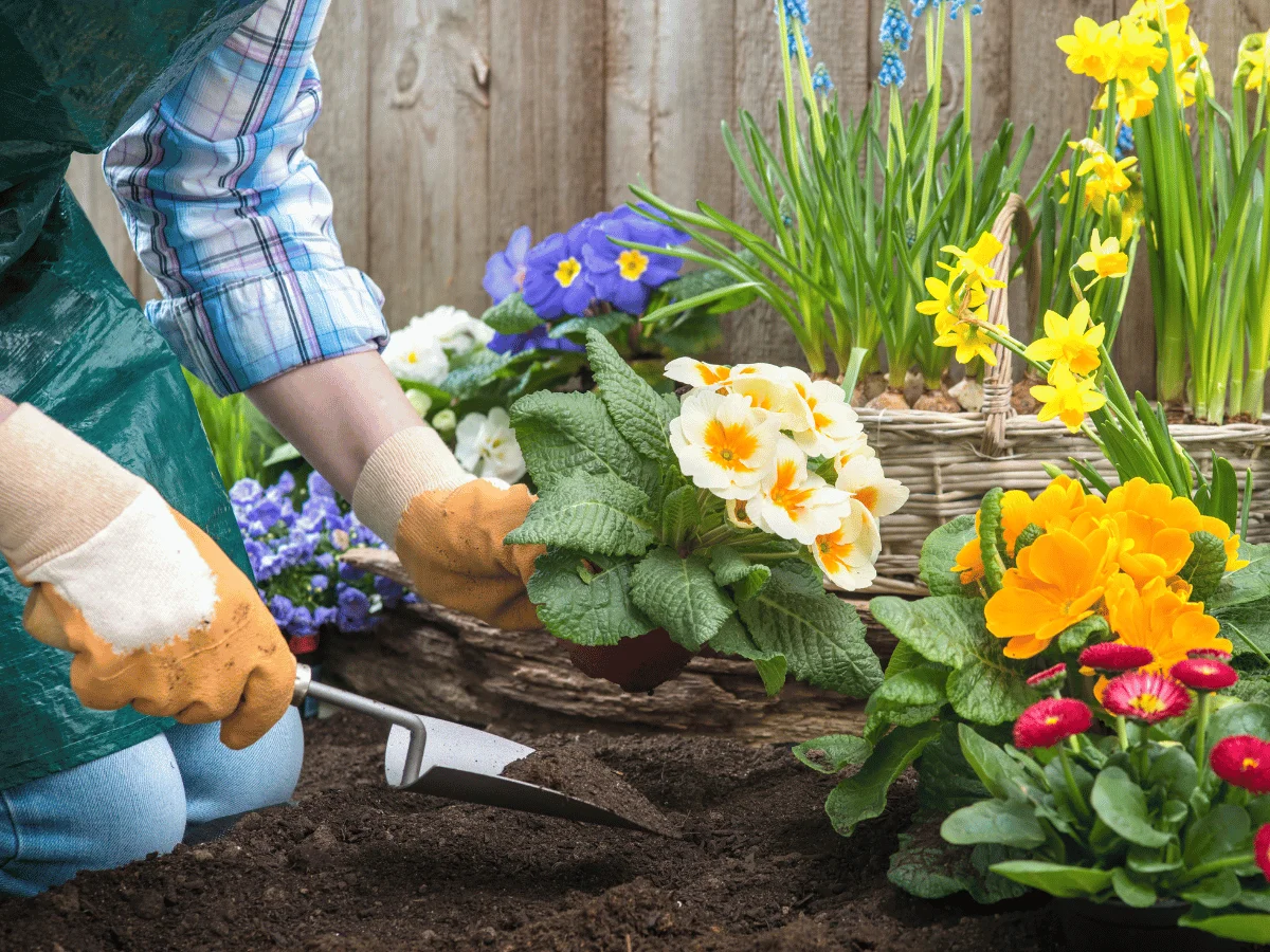 BaseLink offers local gardeners for planting services